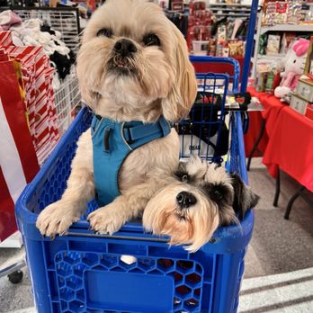Ross Dress for Less - Shopping is ruff - Women's Clothing Near Me - San Antonio, Texas Ross Dress for Less - Shopping is ruff - Women's Clothing Near Me - San Antonio, Texas