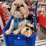 Photo of Ross Dress for Less