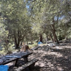 Crystal Lake Camp Ground - Picnic table and tent