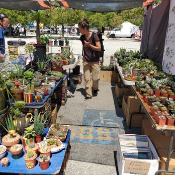 Berkeley Flea Market - Plants: cacti and succulents - Jewelry Near Me - Berkeley, California