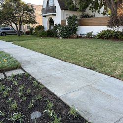New ground cover, weeding, and tree trimming!