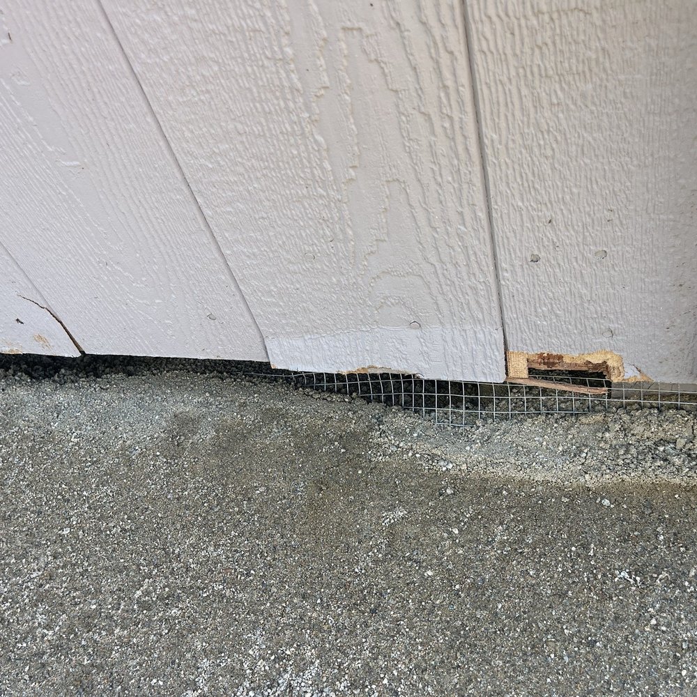 Maplewood Landscaping - Here's damage to the other side of the shed - Landscaping Near Me Maplewood Landscaping - Here's damage to the other side of the shed - Landscaping Near Me