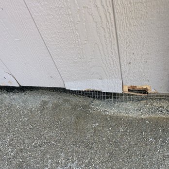 Maplewood Landscaping - Here's damage to the other side of the shed - Landscaping Near Me Maplewood Landscaping - Here's damage to the other side of the shed - Landscaping Near Me