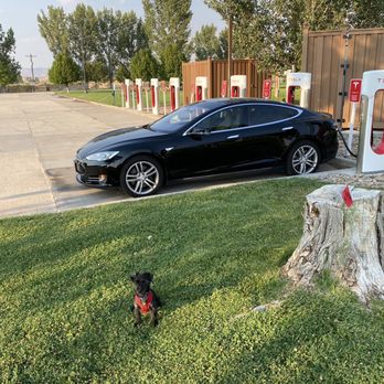 Tesla Supercharger - Green River - Supercharging and our dog enjoying the fresh grass - EV Charging Stations Near Me - Green River, Utah