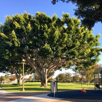 Pine Avenue Community Park - Playgrounds Near Me - Carlsbad, California Pine Avenue Community Park - Playgrounds Near Me - Carlsbad, California