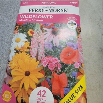 Griff's Feed & Seed - Wildflower purchase - Home & Garden Near Me - Colusa, California Griff's Feed & Seed - Wildflower purchase - Home & Garden Near Me - Colusa, California