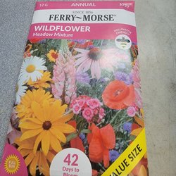 Griff's Feed & Seed - Wildflower purchase