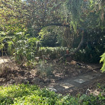 Ramon Hernandez Gardening - Gardeners Near Me Ramon Hernandez Gardening - Gardeners Near Me