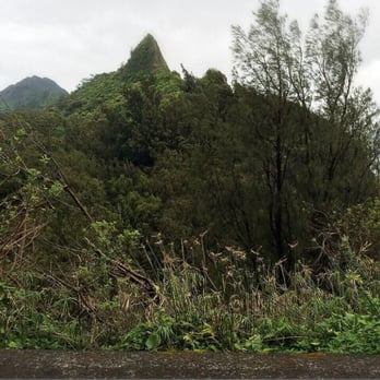 Nu'uanu Pali State Wayside - Parks Near Me