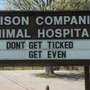 Photo of Madison Companion Animal Hospital
