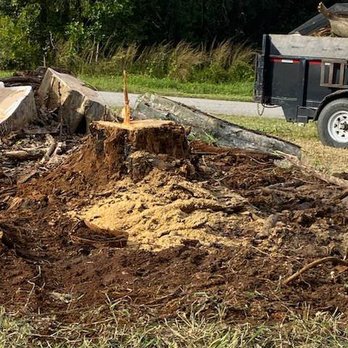 Jim's 2 Men And A Bucket - Tree Services Near Me - Lake Placid, Florida Jim's 2 Men And A Bucket - Tree Services Near Me - Lake Placid, Florida