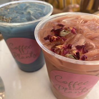 Coffee and Plants - Coffee & Tea Near Me - Pasadena, California