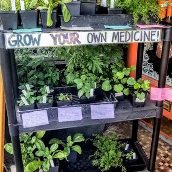 Herban Wellness - Plants - Health Markets Near Me - Kirkland, Washington