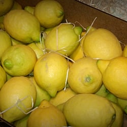 La Ibense