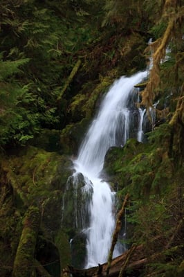 Hoh River Trailhead by null