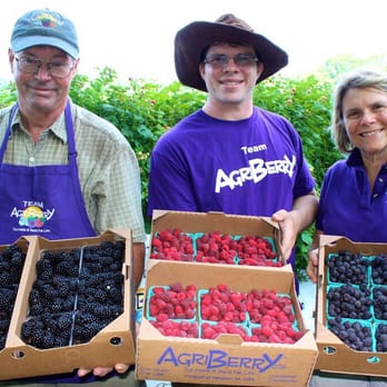 Agriberry Farm & CSA - Chuck, Pierson, and Anne Geyer (founder). - CSA Near Me - Hanover, Virginia Agriberry Farm & CSA - Chuck, Pierson, and Anne Geyer (founder). - CSA Near Me - Hanover, Virginia