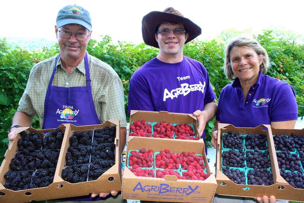 Agriberry Farm & CSA  Logo