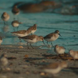 Wenker Cinematics - 4K video footage services