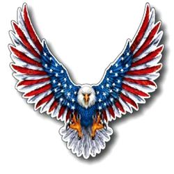 Patriot Lawncare and Landscaping - Patriot 1
