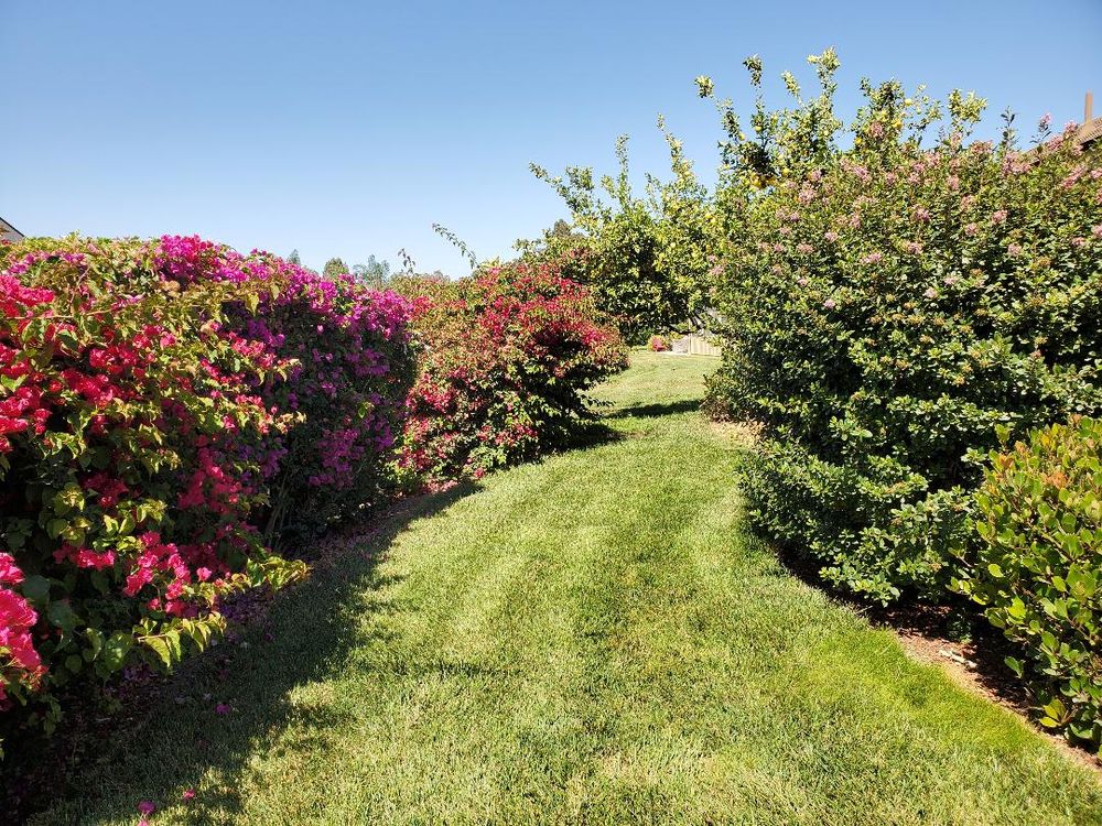 LEISURE VILLAGE ASSOCIATION OFC Updated August 2024 200 Leisure