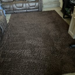 Large area Rug Large area Rug
