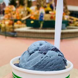 Kulfi Ice Creams - Charcoal mocha Ice cream! Delicious!