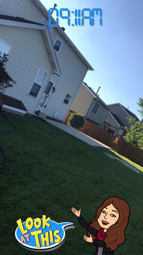 Castro's Tree Service - tree service in Elgin, IL