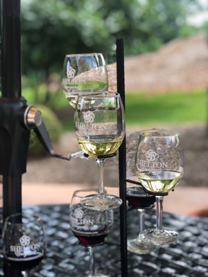 Shelton Vineyards by null