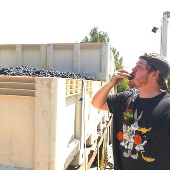 Serrano Wine - Harvest has begun! Come in this weekend to taste a sample of unfermented juice from this week's pick! - Wine Tasting Room Near Me - Fredericksburg, Texas Serrano Wine - Harvest has begun! Come in this weekend to taste a sample of unfermented juice from this week's pick! - Wine Tasting Room Near Me - Fredericksburg, Texas