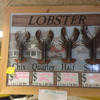 Free Range Fish & Lobster - Prices - Seafood Markets Near Me - Portland, Maine Free Range Fish & Lobster - Prices - Seafood Markets Near Me - Portland, Maine