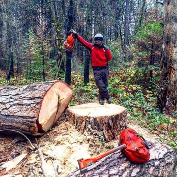 Tree Safe - Tree Services Near Me - Colfax, California