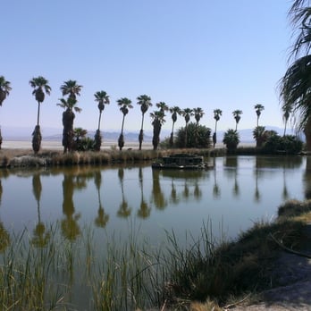 CSU Desert Studies Center - This is one of the last places on Earth you'll find the endangered Mojave Tui Chub fish. - Colleges & Universities Near Me - Baker, California CSU Desert Studies Center - This is one of the last places on Earth you'll find the endangered Mojave Tui Chub fish. - Colleges & Universities Near Me - Baker, California