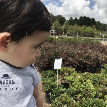 Verdant Tree Farm - Nurseries & Gardening Near Me - Houston, Texas