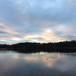 Nordbytjernet - Sunset with ducks swimming