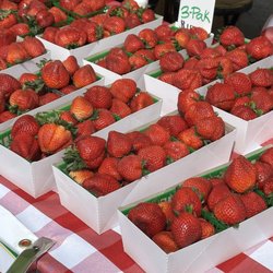 Williamson Farms - Strawberries at the Farmers Market