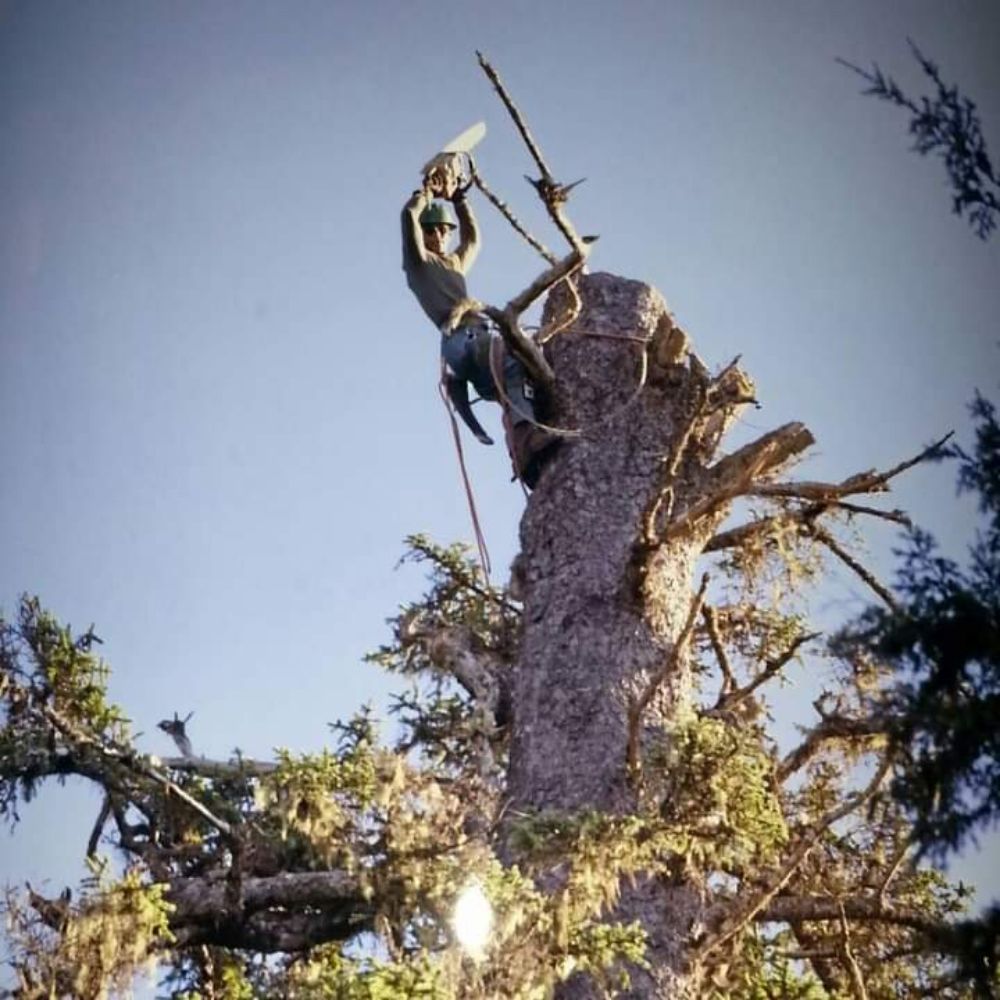 Sheets Enterprises - tree service in Wasilla, AK