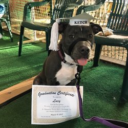 K-9 Educational Training Ctr