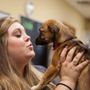 Photo of Palmetto Animal Hospital