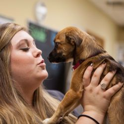 Palmetto Animal Hospital