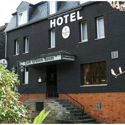 Hotel Zum grünen Baum