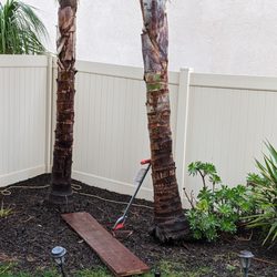 Valley Tree Care - The aerator was the strongest thing I had to prop the weakened tree.