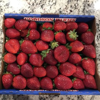 Goodson Farms - Farmers Market Near Me - Wimauma, Florida