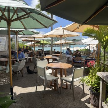 Island Brew Coffeehouse - Coffee & Tea Near Me - Honolulu, Hawaii