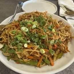 Veg Hakka Noodles
