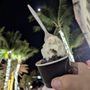 Photo of Tri Gelato