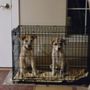 Photo of Animal Hospital of Conroe