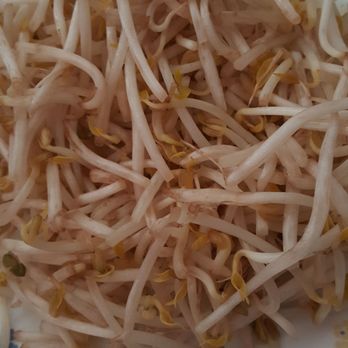 Pho Char Grill - Mungbean sprouts - Vietnamese Near Me - Manassas, Virginia Pho Char Grill - Mungbean sprouts - Vietnamese Near Me - Manassas, Virginia