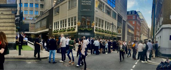 Theodore Bullfrog by null