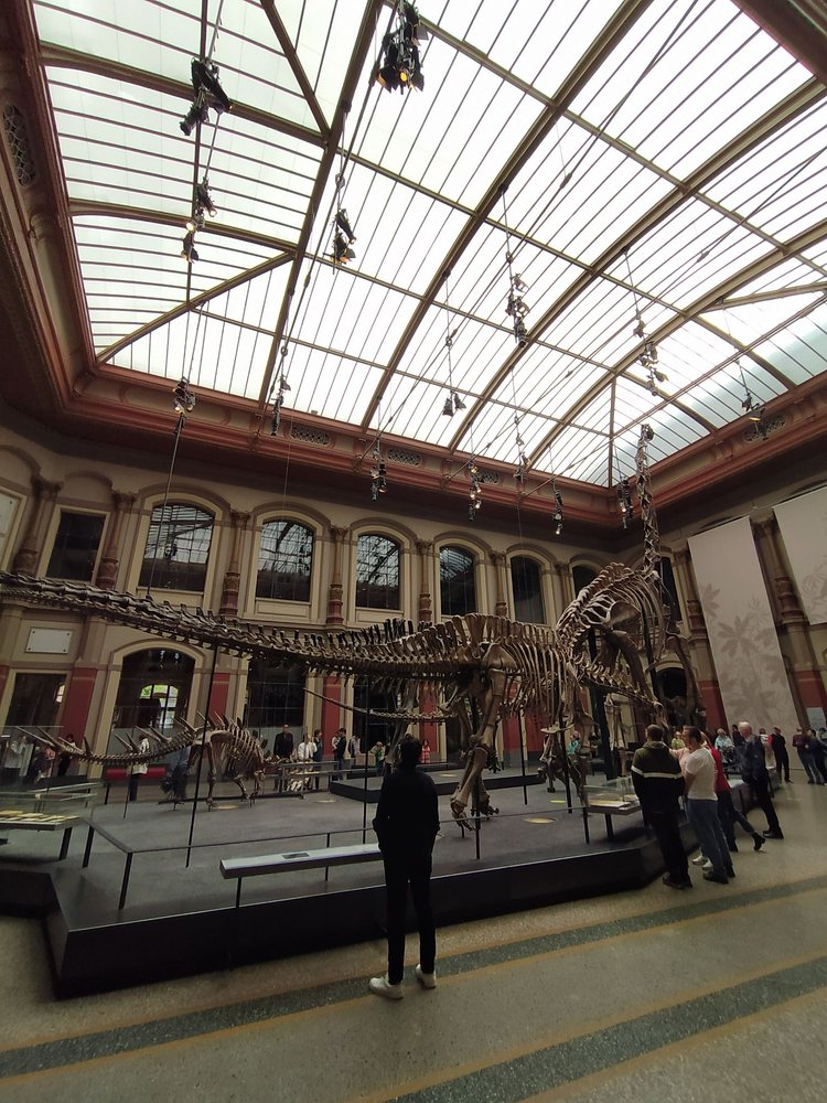 Natural History Museum
