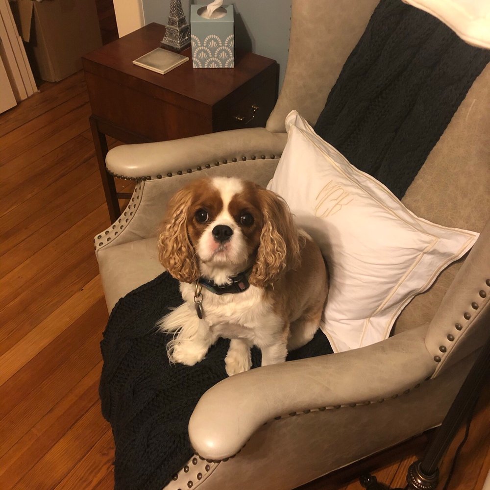 Churchill Wingchair, Monogrammed Percale Pillow Sham and Banks Cable Throw.